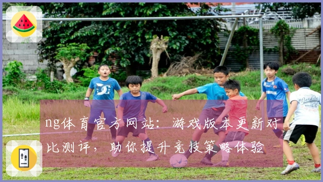 ng体育官方网站：游戏版本更新对比测评，助你提升竞技策略体验